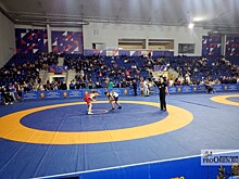 Оренбург принимает Фестиваль спортивной борьбы