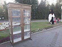 В шкафу на набережной Астаны исчезли книги