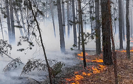 В некоторых регионах прогнозируются риски возникновения пожаров в ближайшие дни