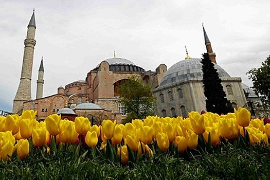 В Турции уволили более 3900 чиновников