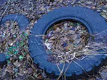 Тольятти освобождается от покрышек во дворах