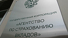 АСВ намерено взыскать с экс-руководства банка «Волга-Кредит» 5,3 млрд рублей