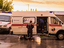 Спасатели вывели из леса заблудившегося во время прогулки новосибирца