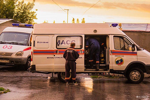 Спасатели вывели из леса заблудившегося во время прогулки новосибирца