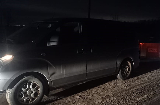 Микроавтобус переехал лежавшего на дороге мужчину в Воронежской области