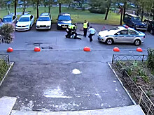 В Петербурге уволили семерых полицейских, жестоко избивших нарушителя ПДД