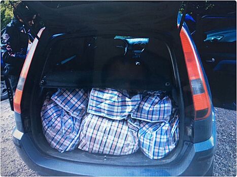 «Почта России» помогла ликвидировать нелегальный интернет-магазин и изъять свыше 100 кг стероидов