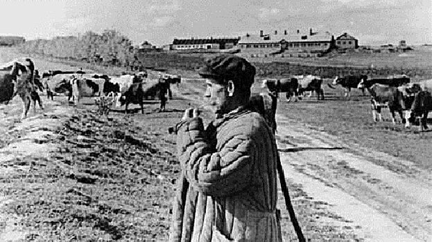 Образованные пастухи в советском Зауралье