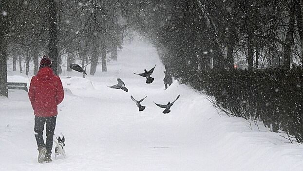 Синоптики рассказали, когда в Москве пойдет снег