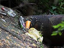 На полигоне ТКО под Курском начнут возводить завершающую очередь