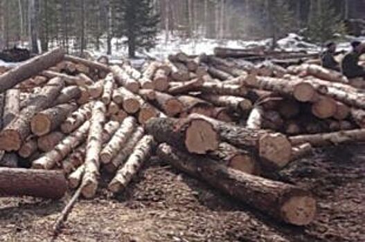 В Приангарье депутата Думы подозревают в незаконной вырубке леса