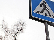 В Курской области сбили двух пешеходов