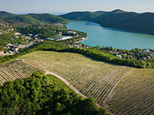 В Краснодарском крае винодельни активно развивают гостиничные комплексы для энотуристов
