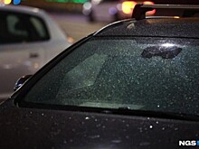 Первые заморозки пришли в Новосибирскую область