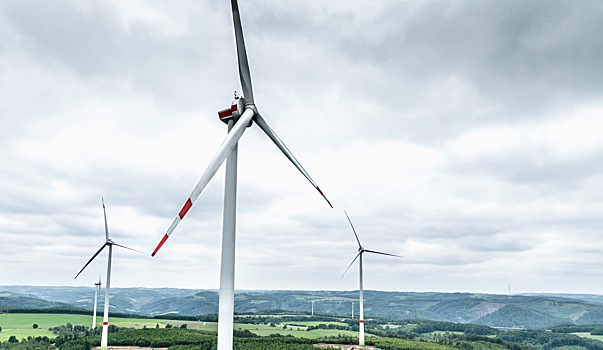 Rambler&Co получил награды за имиджевый экологический проект