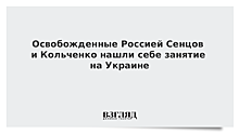 Освобожденные Россией Сенцов и Кольченко нашли себе занятие на Украине