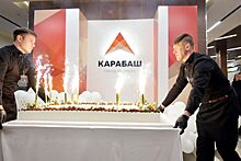 Новые логотип, книга и фильм о городе: Карабаш ярко завершил свой 200-летний юбилейный год