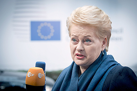 Предложения президента Литвы по полномочиям разведки отложены до весенней сессии Сейма