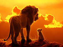 Как настоящие: Первые кадры из «Короля Льва»