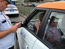 В Петербурге камнем помяли каршеринговый автомобиль