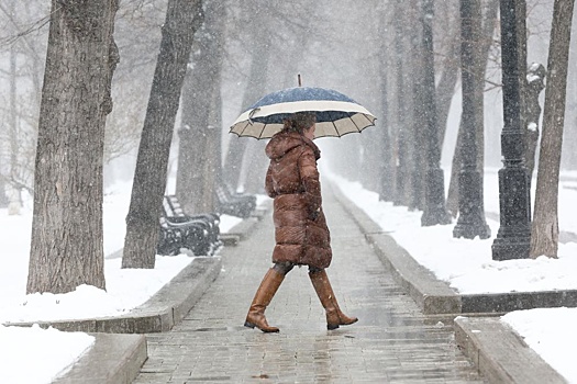 Тишковец: 30% месячной нормы осадков в виде снега выпало в Подмосковье за день