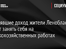 Потерявшие доход жители Ленобласти смогут занять себя на сельскохозяйственных работах