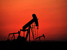 Moody's: Казахстан приспособился к низким ценам на нефть