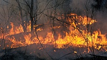 Названы причины масштабных пожаров в Сибири