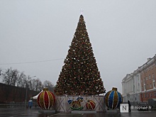 Главную новогоднюю ель Саратова сменят на искусственную 