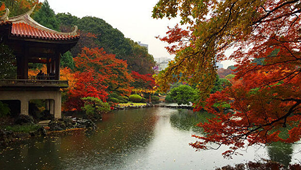 Российские туристы стали чаще посещать Японию