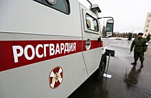 Росгвардейцы задержали буйного постояльца после драки в отеле на Невском проспекте