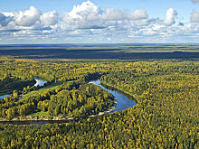 Что скрывают Васюганские болота