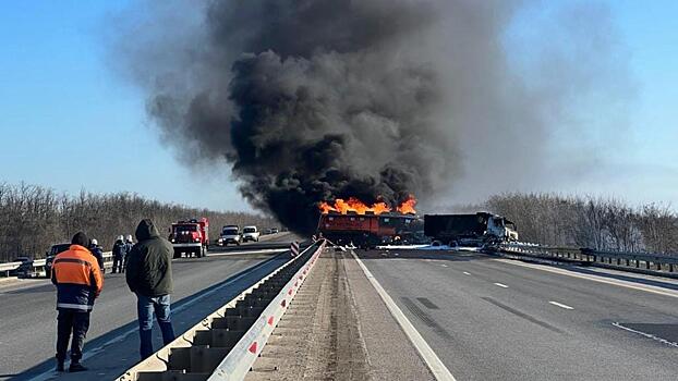 В Ростовской области выясняются обстоятельства ДТП с двумя большегрузами