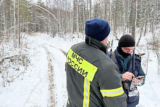 В горах на границе Башкирии и Челябинской области пропала туристка