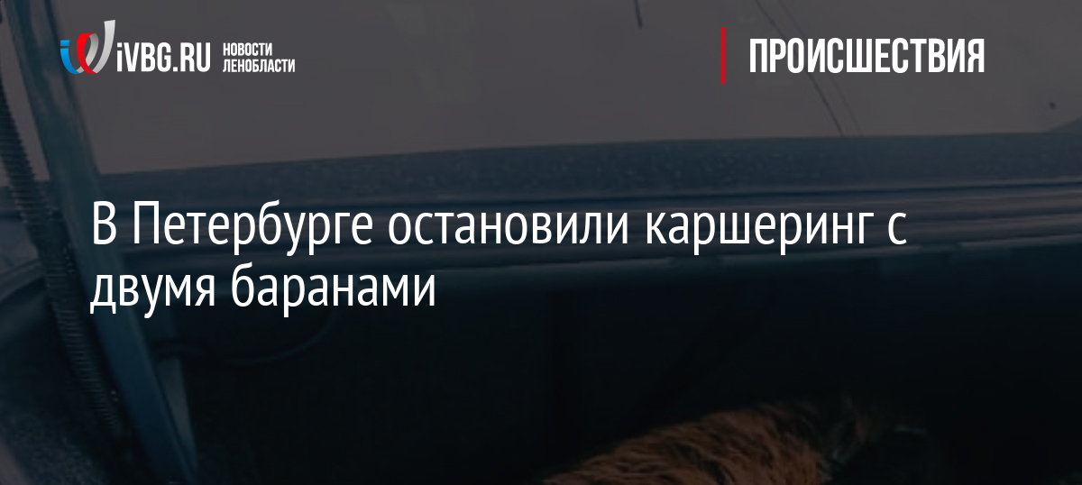 В Петербурге остановили каршеринг с двумя баранами
