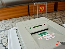 Более 49 % избирателей: в ЕАО подвели первые итоги дня на выборах главы региона