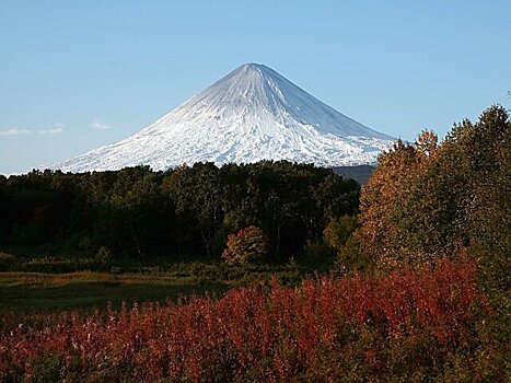 Число погибших после восхождения на вулкан на Камчатке увеличилось до 8