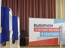 Мосгоризбирком не выявил расхождений при перерасчете протоколов на выборах мэра