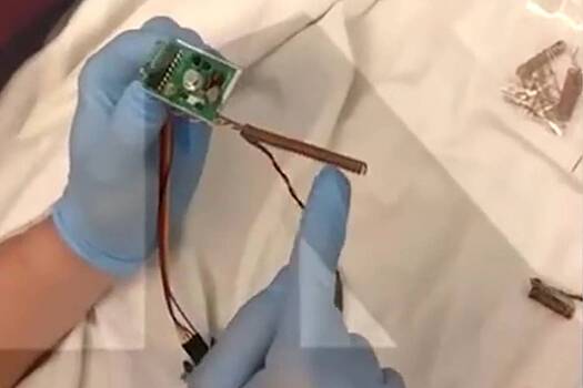 Последователи живущего во Франции российского экстремиста попались при подготовке диверсий