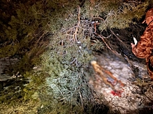 В Волгоградской области задержали подозреваемого в браконьерстве