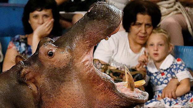 Почему в России падает рождаемость