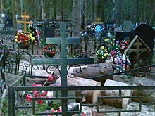 В Подмосковье лесорубы повредили могилы на кладбище «Новая деревня»
