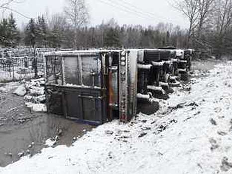 В Вологодском районе на автодороге опрокинулся тягач