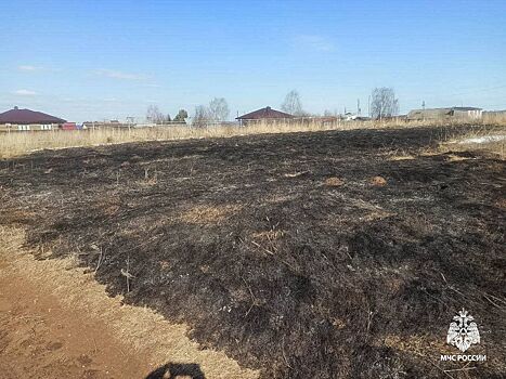 Жителям Удмуртии напомнили, почему нельзя сжигать сухую траву на сельхозучастках