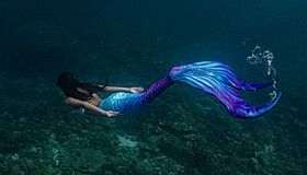 Приметы на 15 июня: что нельзя делать на Вьюна Зеленого