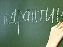 Онлайн-учеба, йога, омлет и песни про врачей