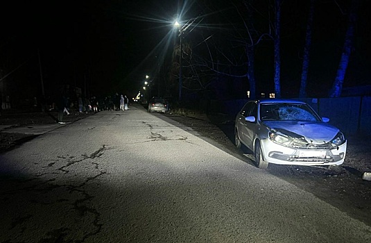 Нетрезвая водитель Гранты насмерть сбила двух пешеходов под Новосибирском