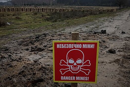 Украина заминировала все дороги на границе с Белоруссией