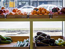 Россия запретила ввоз импортных овощей и фруктов