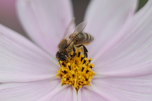 Анонсы событий и мероприятий на 25 августа (18+)